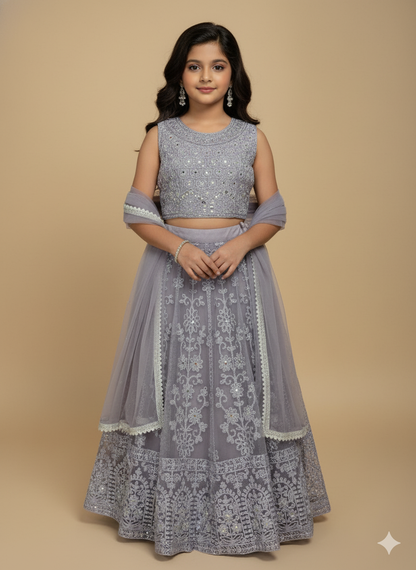 Elegant Embroidered Lehenga Set