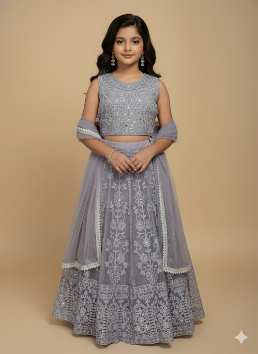 Elegant Embroidered Lehenga Set