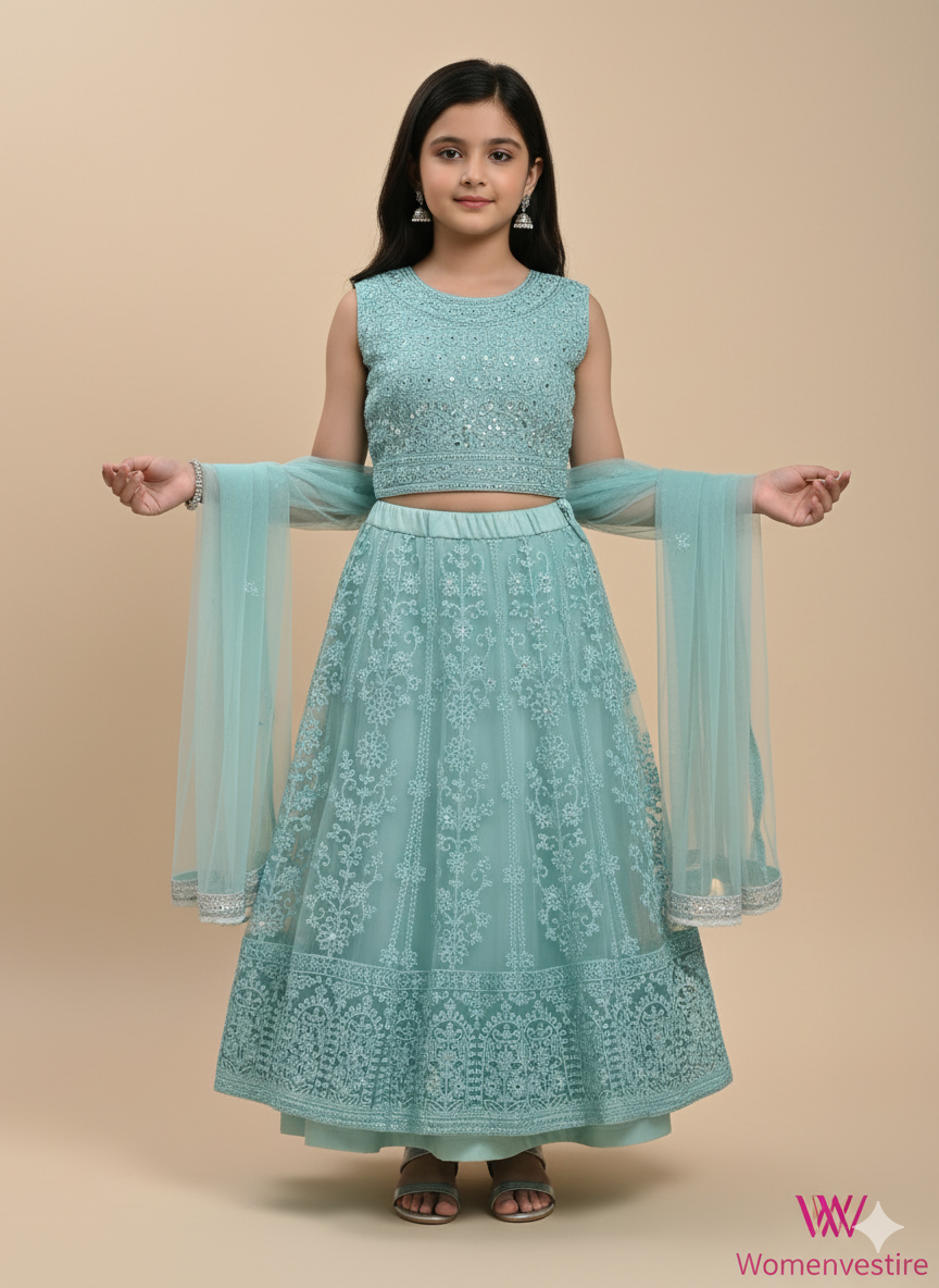 Elegant Embroidered Lehenga Set